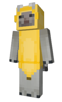 Minecraft skin sllo