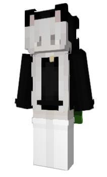 Minecraft skin Yopun