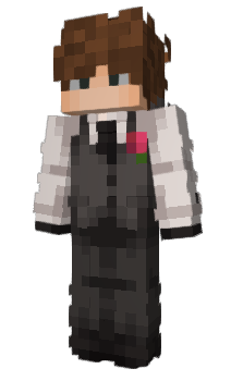 Minecraft skin radarr
