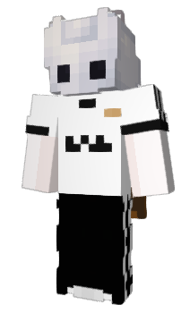 Minecraft skin sampleZIN