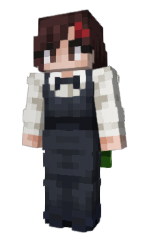 Minecraft skin Chetcitx