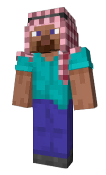 Minecraft skin zprz