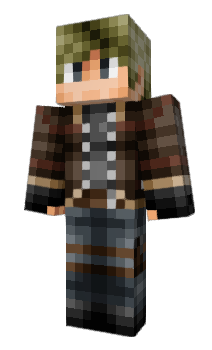 Minecraft skin Consists