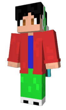 Minecraft skin SELDET