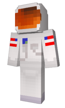 Minecraft skin _Fake