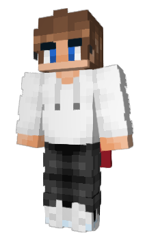 Minecraft skin Fr1dge__