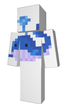 Minecraft skin wiich