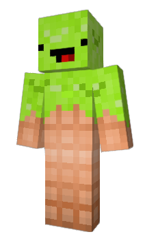 Minecraft skin SoK05