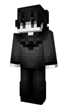 Minecraft skin FLZK