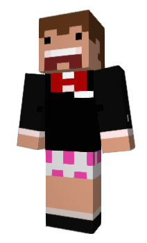 Minecraft skin 17cm