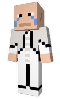 Minecraft skin WhiteAssasin