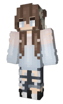 Minecraft skin zcong