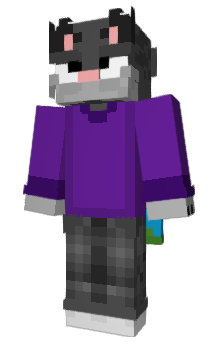 Minecraft skin R0nms