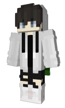 Minecraft skin xHerqq