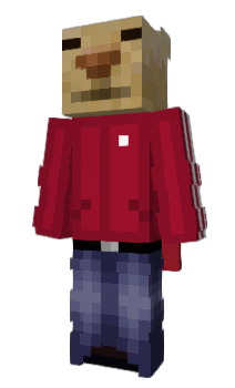 Minecraft skin q5f