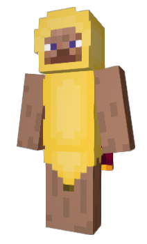 Minecraft skin wwynel