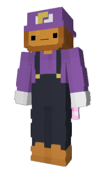 Minecraft skin Qcmpass