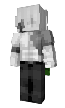 Minecraft skin zecral