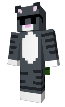 Minecraft skin Kinjin