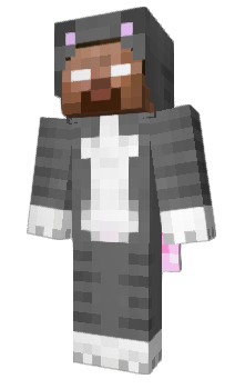 Minecraft skin tecr
