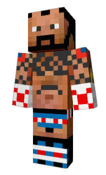 Minecraft skin TIGTA