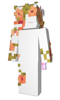 Minecraft skin Rqbilt
