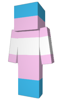 Minecraft skin TransRites