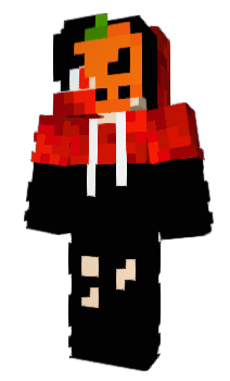 Minecraft skin CraftAnej