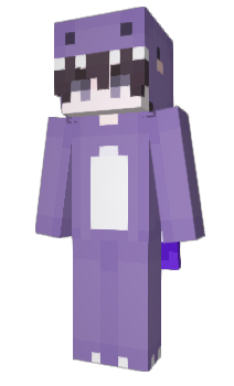 Minecraft skin rjb