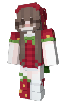 Minecraft skin sacis