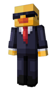 Minecraft skin duck____________