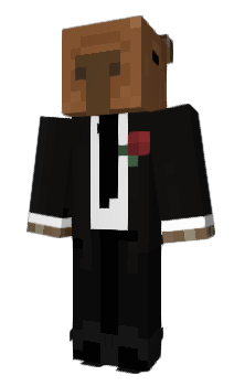 Minecraft skin KT_P