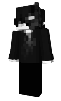 Minecraft skin EndLand
