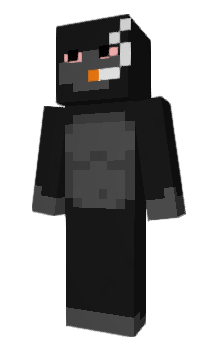 Minecraft skin uzed