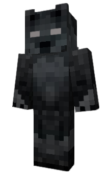 Minecraft skin Rlled