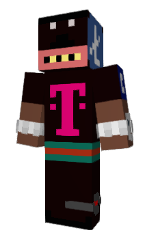 Minecraft skin LedgerLive