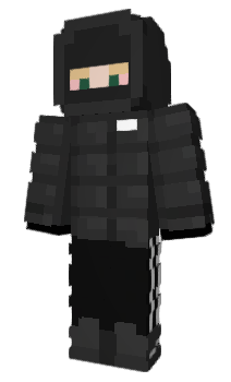 Minecraft skin PesoPluma