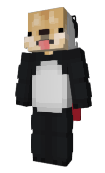 Minecraft skin H347