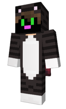 Minecraft скін по ніку Nick527