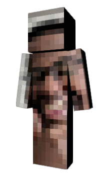 Minecraft skin lapwing