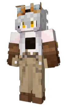 Minecraft skin ecctricc