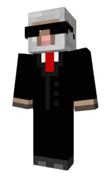 Minecraft skin Zidde
