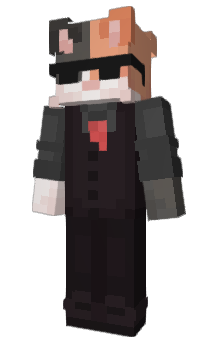 Minecraft skin Catito_MC