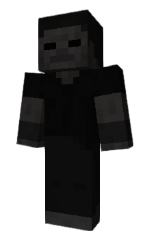 Minecraft skin spaned
