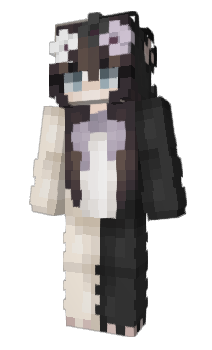 Minecraft skin NdwL