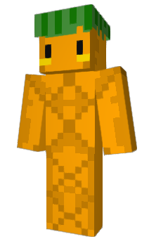 Minecraft skin passionberry