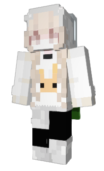 Minecraft skin TW_nico