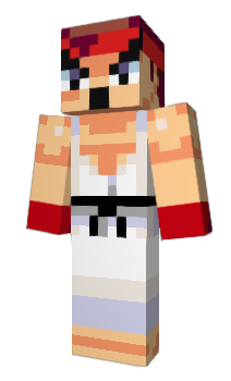 Minecraft skin coninja