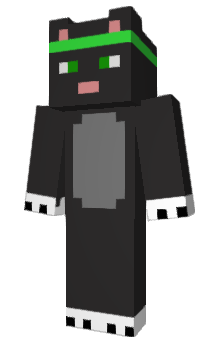 Minecraft скін по ніку biore
