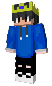Minecraft skin Ryuky_Bees